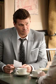 Special Agent Seeley Booth (David Boreanaz)