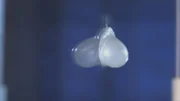 ESSEX, ENGLAND - Tim Jameson throws a water balloon at a Perspex screen to show the weakness of a water balloon.   (photo credit: National Geographic Channels/Myles Warwood)