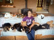 Lynea And A Few of Her Cats. Though the cats have now overtaken her home and property, Lynea prefers their company to other relationships, and with the serenity they bring, she thinks the rewards outweigh any hardship.