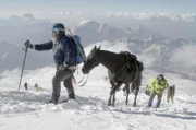 Pferdezüchter in Südrussland wollen den Elbrus per Pferd besteigen - als Symbol für das Wiedererstarken der besonders robusten Karachai-Pferderasse.