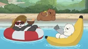 v.li.: Baby Panda, Baby Grizz, Baby Ice Bear