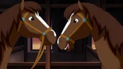 Die Pferde Ella und Elisa sehen sich zum Verwechseln ähnlich. Kein Wunder, sie sind Zwillinge.