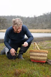 Forestier Peninsula, Tasmania - Gordon Ramsay harvests fresh samphire. (Credit: National Geographic/Justin Mandel)
