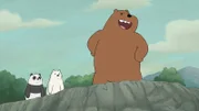 v.li.: Panda Bear, Ice Bear, Grizzly Bear