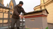 Hausmeister Stefan Dietrich betreut die Schlossbienen auf dem Dach.