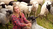 Die Gotland Pelzschafe haben einen besonders weichen und lockigen Pelz, den Patricia Sachau gern für Wolle nutzen möchte. Doch die seltene Rasse macht auch viel Arbeit.