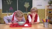 Kinder testen Essen aus fremden Ländern.