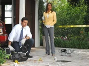 Eine bisher unbescholtene Hausfrau und Mutter wurde vor ihrem Haus ermordet. Jesse Cardoza (Eddie Cibrian) und Natalia Boa Vista (Eva La Rue) versuchen den Tathergang zu rekonstruieren.