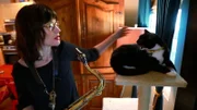 Women tries to pet the cat