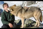 Tiertrainer Zoltan Horkai mit einem seiner Wölfe