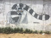 Lemuren sind auf Madagaskar nicht nur als Wandmalerei zu finden.