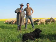 Willi Weitzel mit Wanderschäfer Bonifaz in Hammelburg beim Schafehüten. Wenn eine Weide abgegrast ist, ziehen sie weiter.