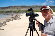 Dokumentarfilmer Otto C. Honegger bei der Arbeit mit Seelöwen, die sich an der Äquatorsonne räkeln.