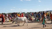 Am Markttag dürfen die Frauen in Kenias Massai Mara nur hier auf dem Frauenmarkt einkaufen, wo es Kleider und Lebensmittel gibt. Der Viehmarkt ist den Männern vorbehalten.