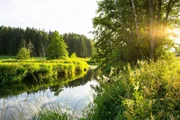 Little River (Schwarze Laber) in Bayern bei romantischem Sonnenlicht