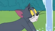 Tom