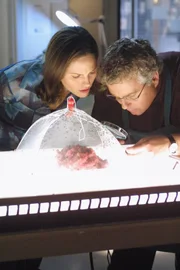 Sidle (Jorja Fox) und Grissom (William Petersen) entdecken einige Ungereimtheiten, die den ganzen Fall in einem neuen Licht erscheinen lassen.