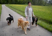 Alexandra mit ihren HundenAlexandra mit ihren Hunden