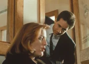 Mulder (David Duchovny, r.) versucht, Scully (Gillian Anderson, l.) zu beruhigen, die nach der Konfrontation mit ihrem ersten Fall von  Leichenschändung zutiefst schockiert ist.
