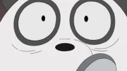 Panda Bear