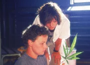 Melanie (Sigrid M. Schnückel, li.) und Lizzy (Katja Schmitz) entdecken entsetzt, dass die Marihuanaplantage von Blattläusen befallen ist...