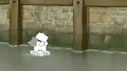 Baby Ice Bear