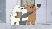 v.li.: Ice Bear, Panda Bear, Grizzly Bear