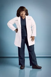 Dr. Miranda Bailey (Chandra Wilson)