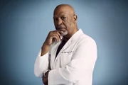 Dr. Richard Webber (James Pickens Jr.)