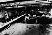 Numbered stakes indicate where the bodies of John Wayne Gacy's victims were found in the crawl space beneath his suburban home. Twenty-nine bodies, all young males, were recovered from Gacy's home. Four others were found in Illinois rivers.