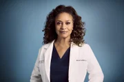 (17. Staffel) - Dr. Catherine Fox (Debbie Allen)