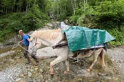 Im Piemont gibt es ihn noch, den Beruf des Säumers – Menschen, die Lasten auf dem Rücken von Saumtieren durchs Gebirge transportieren.