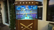 Finished fish tank.