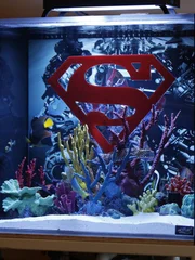 Wayde King and Brett Raymer are building an underwater world for Shaquille O'Neal in this episode.