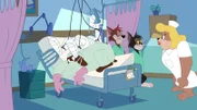 v.li.: Bruno, Meathead Cat, Butch Cat, Lulu
