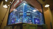 Aquarium