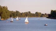 Die alte Donau, Boote.