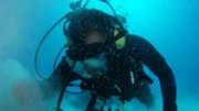 A scuba diver is on the ocean floor.