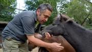 Tierpfleger Mario Barabasz möchte mit Shetland-Pony Renate auf große Erkundungstour durch den Zoo.