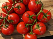 Tomaten: verwandt mit Kartoffeln und Chili?