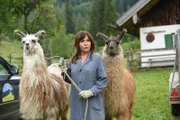 Katja Baumann (Simone Thomalla) weiß auch nicht so recht, was sie nun mit zwei Lamas anfangen soll.