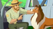 Ranger Graham schickt Hündin Lassie gemeinsam mit den Kindern los, um Mrs. Lee das Gegengift zu bringen.
