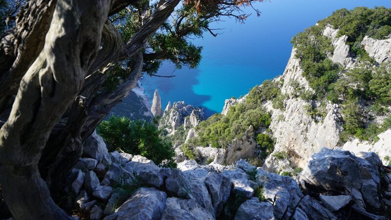 Sardinien - Arche aus Stein (A, 2021)
