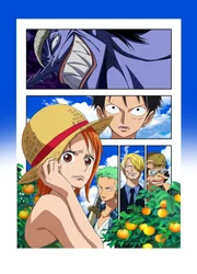 One Piece: Nami - Artwork