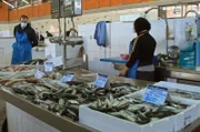 Der Fischmarkt von Olhão im Zentrum des Naturparks Ria Formosa