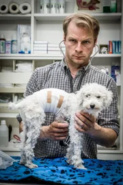 Tierarzt Hauke Jacobs (Hinnerk Schönemann) mit einer Hunde-Patientin in seiner Praxis.