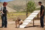 Tia Maria Torres talks with her adopted son Kinani about dog training before having Johnny Danger, a rescue pit bull, check out the a-frame that Kinani built as part of an agility training and confidence building exercise at Torres' Villalobos Rescue Center.