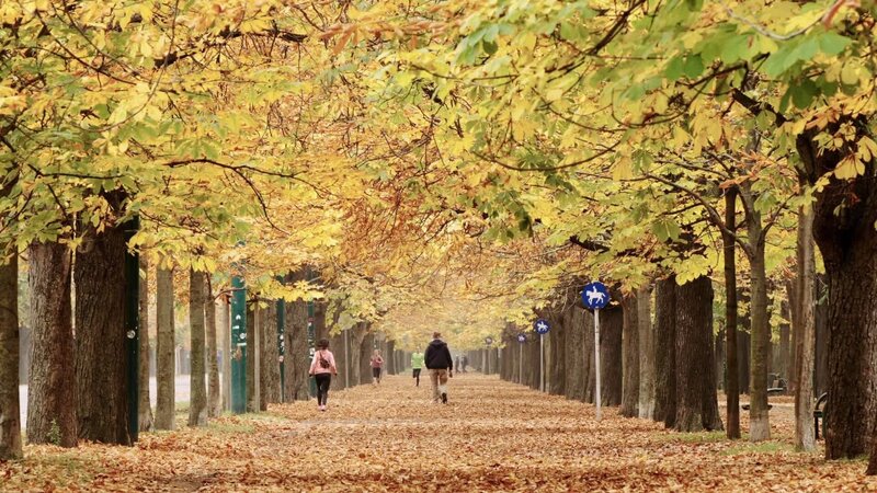 Gschichten aus dem Wiener Prater (A, 2017)