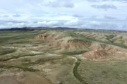 Der Yellowstone-Nationalpark ist der älteste weltweit. Die Maßnahmen zum Schutz der Bisons dort waren der erste Versuch, ein großes wildes Säugetier in seiner angestammten Umgebung zu erhalten.