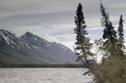 Um ihre Natur und ihre Jagdgründe zu schützen, haben einige First Nations gemeinsam erwirkt, dass das Peel River Basin unter Schutz gestellt wurde. Es bietet Karibus und Wölfen einen klimatischen Rückzugsort.